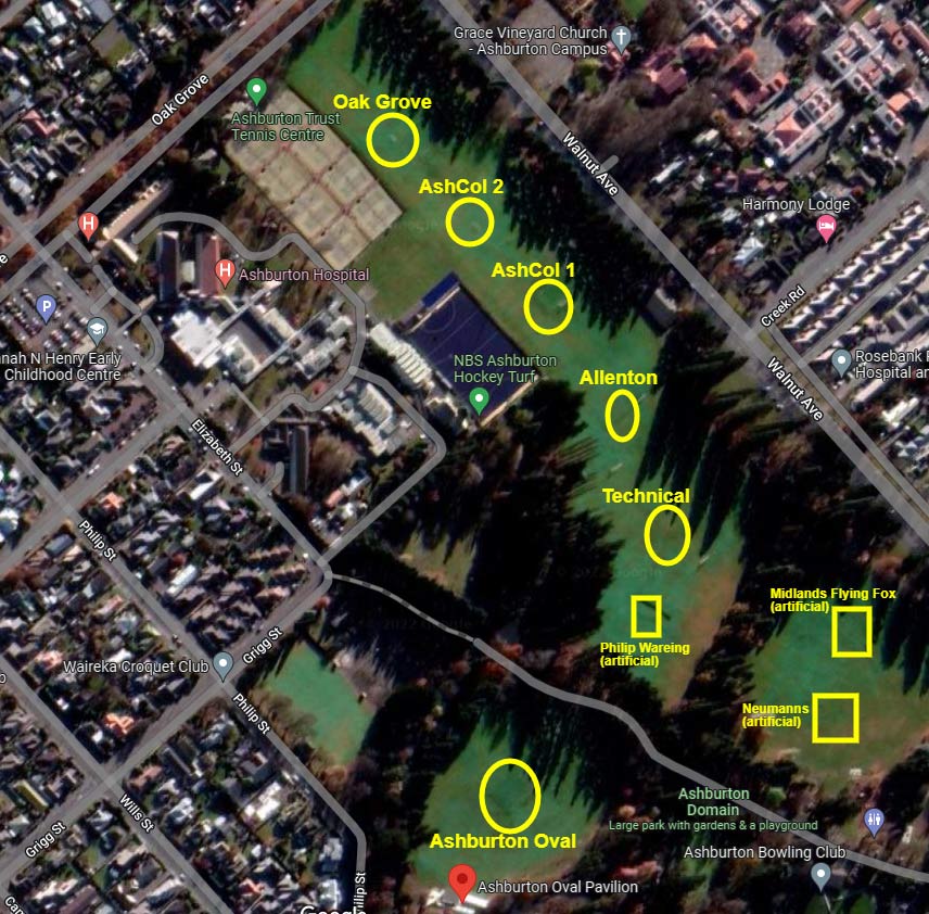 ashburton domain cricket pi